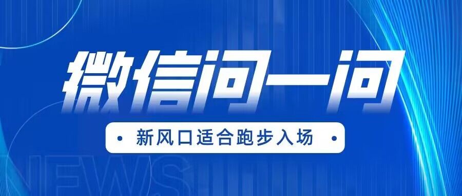 全网首发微信问一问新风口变现项目（价值1999元）-紫爵资源库