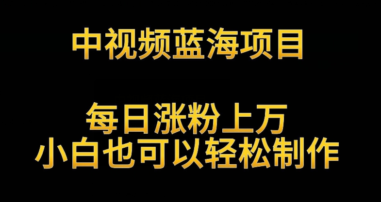 中视频蓝海项目，解读英雄人物生平，每日涨粉上万，小白也可以轻松制作，月入过万不是梦-紫爵资源库