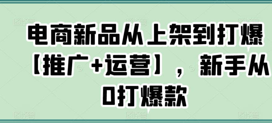 电商新品从上架到打爆【推广+运营】，新手从0打爆款-紫爵资源库