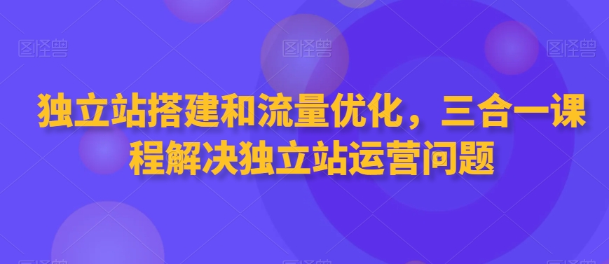 独立站搭建和流量优化，三合一课程解决独立站运营问题-紫爵资源库