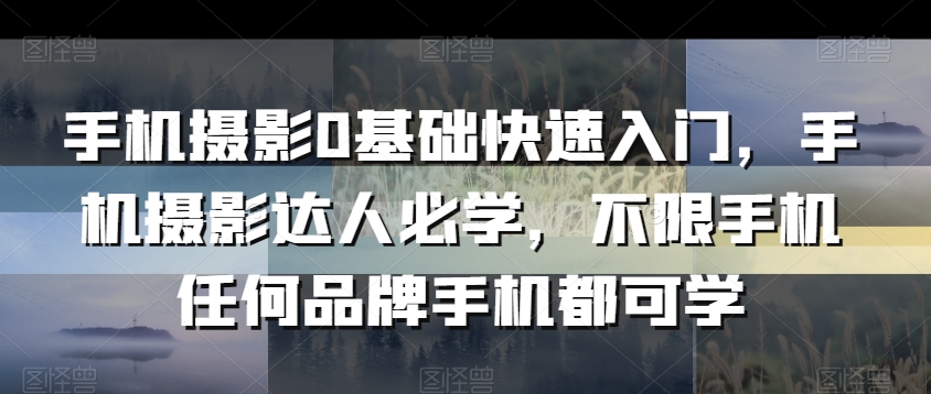 手机摄影0基础快速入门，手机摄影达人必学，不限手机任何品牌手机都可学-紫爵资源库