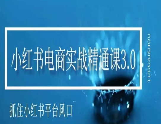 小红书电商实战精通课3.0，抓住小红书平台的风口，不错过有一个赚钱的机会-紫爵资源库