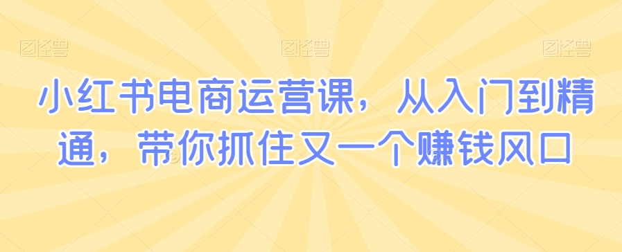 小红书电商运营课，从入门到精通，带你抓住又一个赚钱风口-紫爵资源库