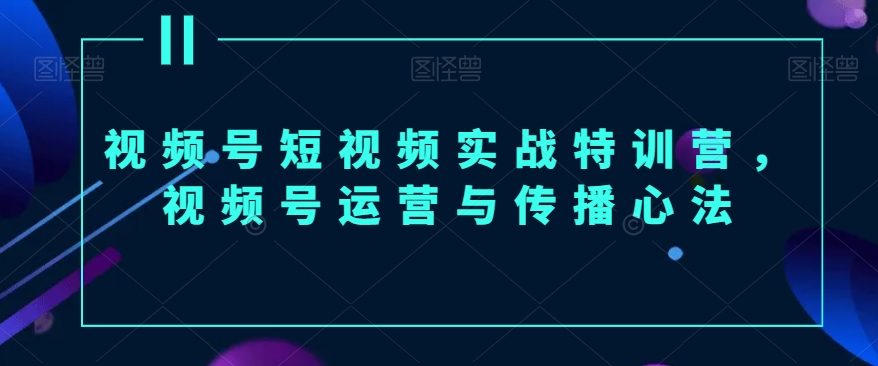 视频号短视频实战特训营，视频号运营与传播心法-紫爵资源库