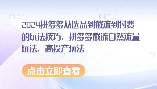 2024拼多多从选品到截流到付费的玩法技巧，拼多多截流自然流量玩法，高投产玩法-紫爵资源库