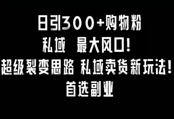 日引300+购物粉，超级裂变思路，私域卖货新玩法，小红书首选副业-紫爵资源库