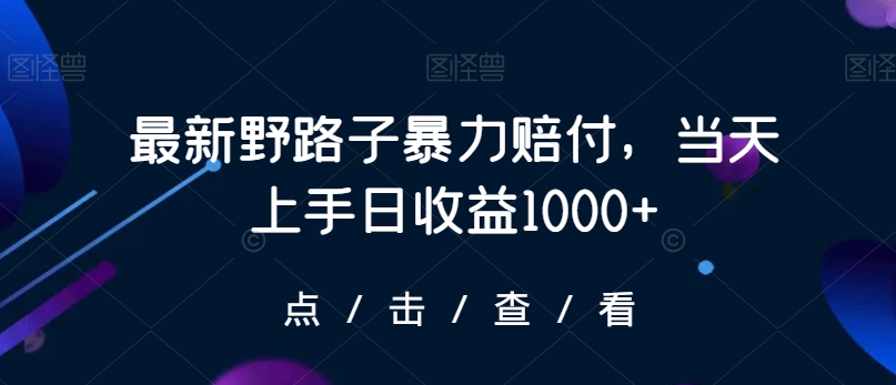 最新野路子暴力赔付，当天上手日收益1000+【仅揭秘】-紫爵资源库