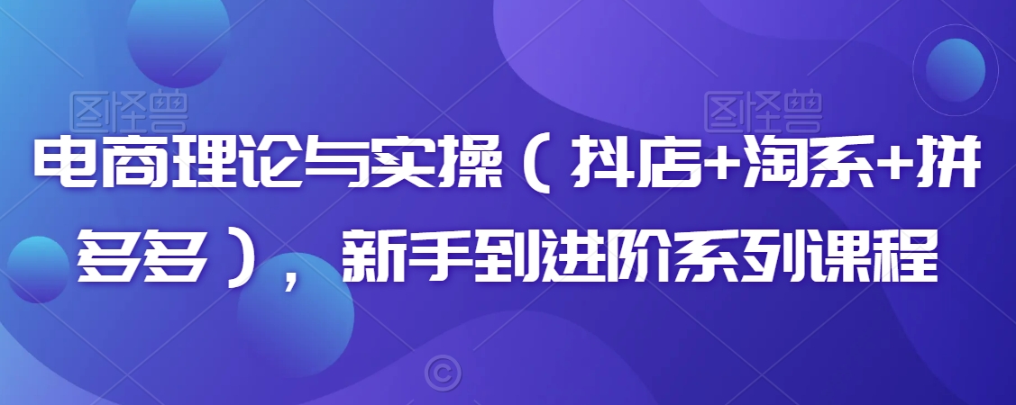 电商理论与实操（抖店+淘系+拼多多），新手到进阶系列课程-紫爵资源库