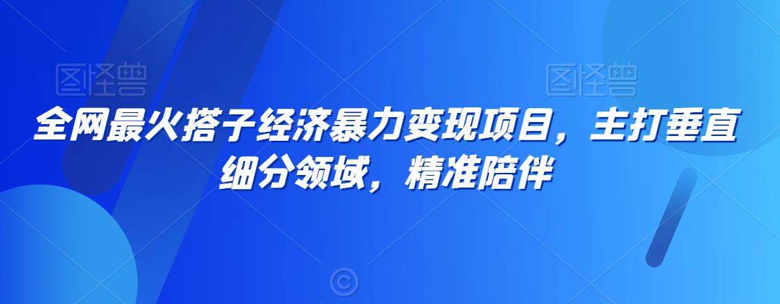 全网最火搭子经济暴力变现项目，主打垂直细分领域，精准陪伴-紫爵资源库