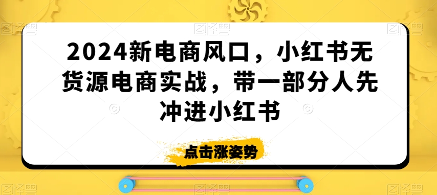 2024新电商风口，小红书无货源电商实战，带一部分人先冲进小红书-紫爵资源库