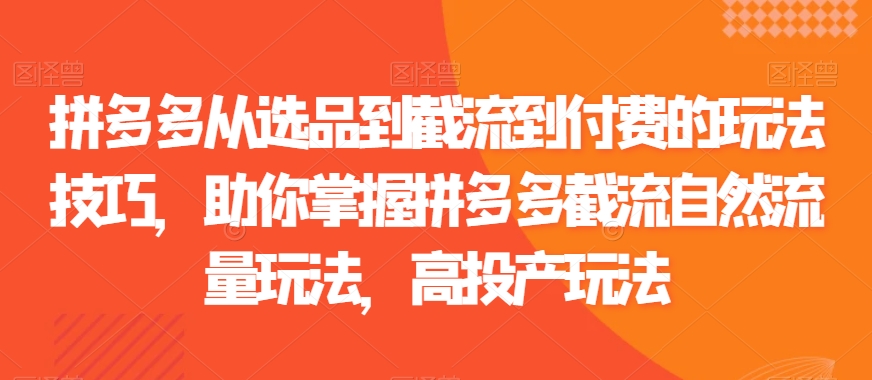 拼多多从选品到截流到付费的玩法技巧，助你掌握拼多多截流自然流量玩法，高投产玩法-紫爵资源库