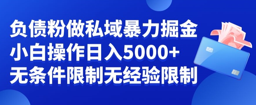 负债粉私域暴力掘金，小白操作入5000，无经验限制，无条件限制-紫爵资源库