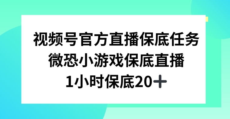 视频号直播任务，微恐小游戏，1小时20+-紫爵资源库