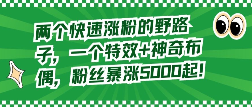 两个快速涨粉的野路子，一个特效+神奇布偶，粉丝暴涨5000起-紫爵资源库