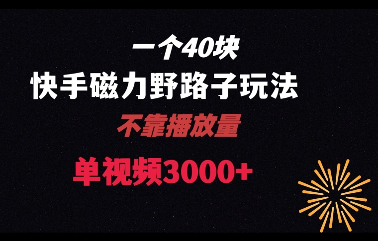 一个40块，快手联合美团磁力新玩法，无视机制野路子玩法，单视频收益4位数【揭秘】-紫爵资源库