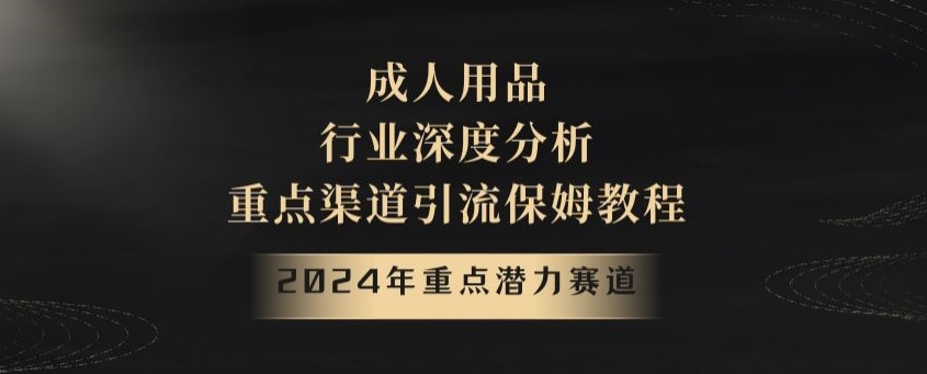 2024年重点潜力赛道，成人用品行业深度分析，重点渠道引流保姆教程【揭秘】-紫爵资源库