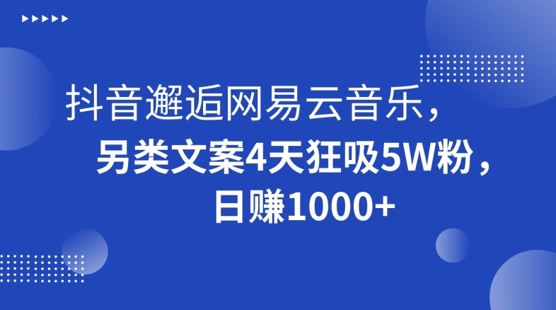 抖音邂逅网易云音乐，另类文案4天狂吸5W粉，日赚1000+【揭秘】-紫爵资源库