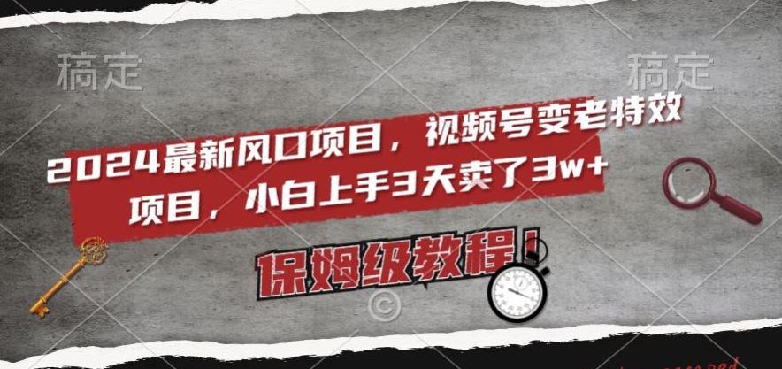 2024最新风口项目，视频号变老特效项目，电脑小白上手3天卖了3w+，保姆级教程【揭秘】-紫爵资源库