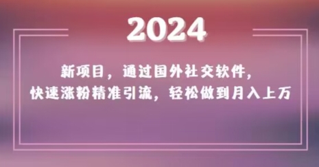 2024新项目，通过国外社交软件，快速涨粉精准引流，轻松做到月入上万【揭秘】-紫爵资源库