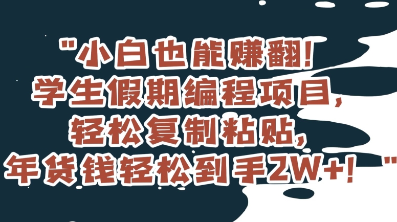 小白也能赚翻！学生假期编程项目，轻松复制粘贴，年货钱轻松到手2W+【揭秘】-紫爵资源库