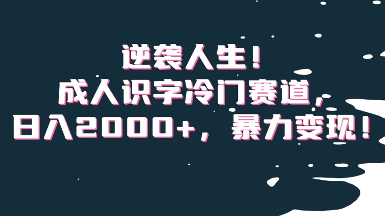 逆袭人生！成人识字冷门赛道，日入2000+，暴力变现！【揭秘】-紫爵资源库