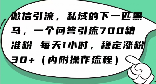 怎么搞精准创业粉？微信新赛道，每天一小时，利用Ai一个问答日引100精准粉-紫爵资源库