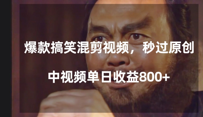 爆款搞笑混剪视频，百分百过原创，单日中视频播放收益800+【揭秘】-紫爵资源库