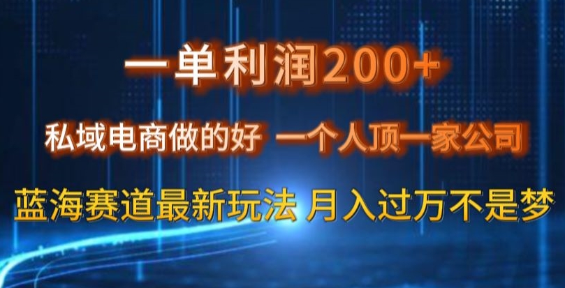 一单利润200私域电商做的好，一个人顶一家公司蓝海赛道最新玩法【揭秘】-紫爵资源库