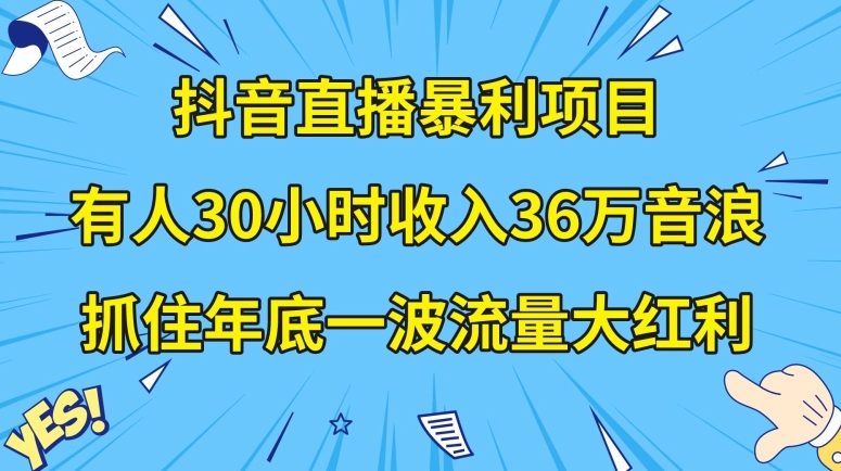 抖音直播暴利项目，有人30小时收入36万音浪，公司宣传片年会视频制作，抓住年底一波流量大红利【揭秘】-紫爵资源库