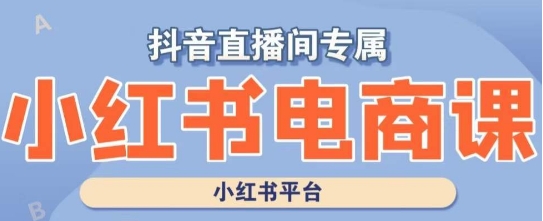 小红书电商高级运营课程，实操教学+案例分析-紫爵资源库