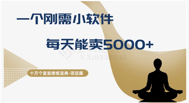 十万个富翁修炼宝典之17.一个刚需小软件，每天能卖5000+-紫爵资源库