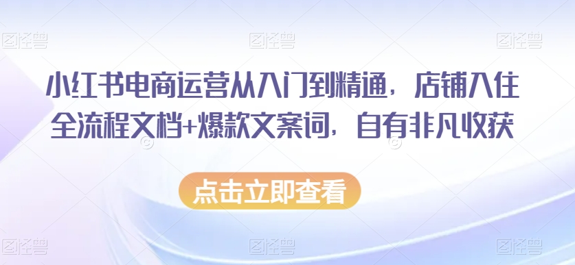 小红书电商运营从入门到精通，店铺入住全流程文档+爆款文案词，自有非凡收获-紫爵资源库