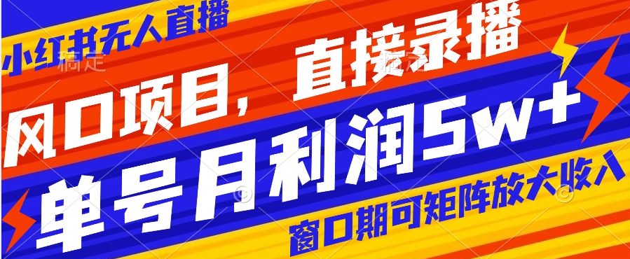 风口项目，小红书无人直播带货，直接录播，可矩阵，月入5w+【揭秘】-紫爵资源库