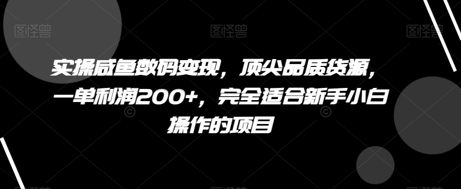 实操咸鱼数码变现，顶尖品质货源，一单利润200+，完全适合新手小白操作的项目【揭秘】-紫爵资源库