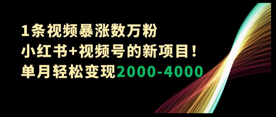 1条视频暴涨数万粉–小红书+视频号的新项目！单月轻松变现2000-4000【揭秘】-紫爵资源库