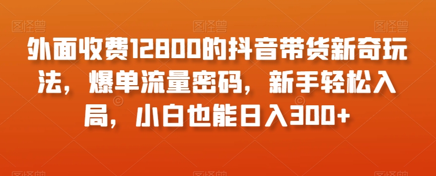 外面收费12800的抖音带货新奇玩法，爆单流量密码，新手轻松入局，小白也能日入300+【揭秘】-紫爵资源库