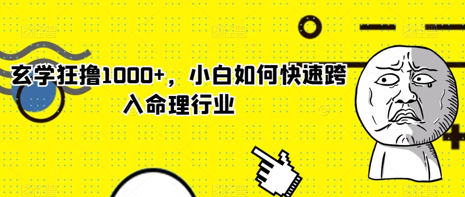 玄学狂撸1000+，小白如何快速跨入命理行业【揭秘】-紫爵资源库