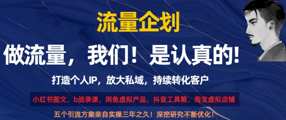 流量企划，打造个人IP，放大私域，持续转化客户【揭秘】-紫爵资源库