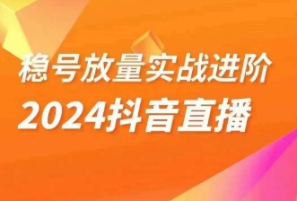 稳号放量实战进阶—2024抖音直播，直播间精细化运营的几大步骤-紫爵资源库