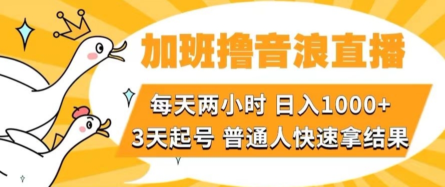 加班撸音浪直播，每天两小时，日入1000+，直播话术才3句，3天起号，普通人快速拿结果【揭秘】-紫爵资源库