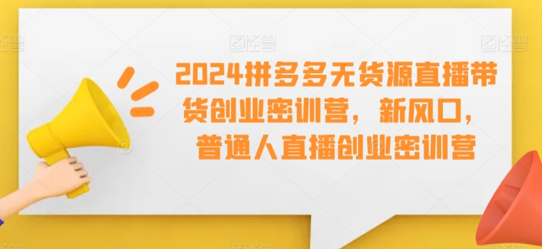 2024拼多多无货源直播带货创业密训营，新风口，普通人直播创业密训营-紫爵资源库