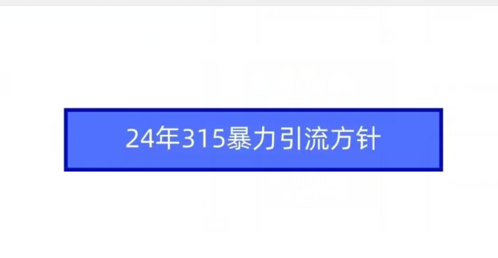 24年315暴力引流方针-紫爵资源库