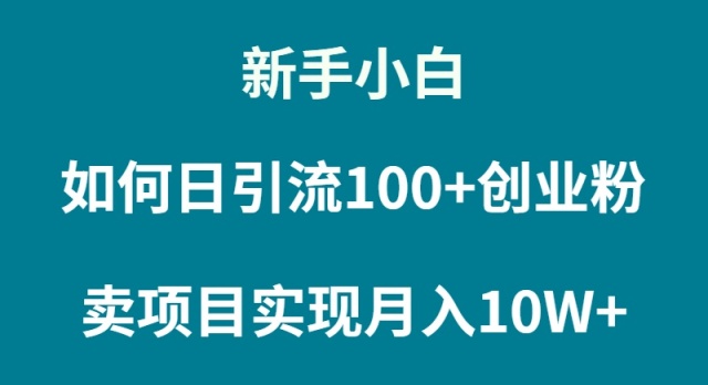 新手小白如何通过卖项目实现月入10W+-紫爵资源库