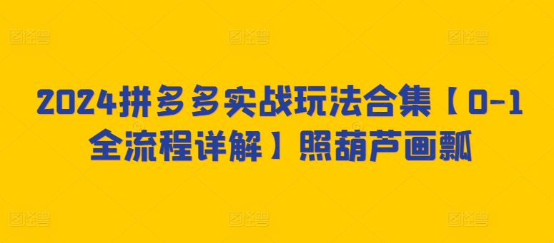 2024拼多多实战玩法合集【0-1全流程详解】照葫芦画瓢-紫爵资源库