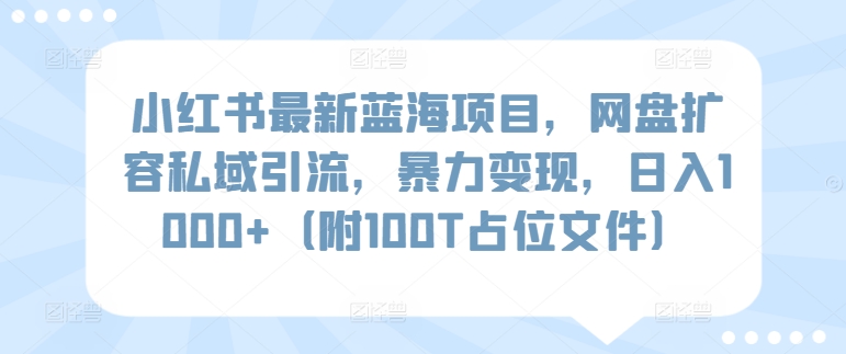 小红书最新蓝海项目，网盘扩容私域引流，暴力变现，日入1000+（附100T占位文件）-紫爵资源库