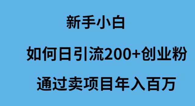 新手小白如何日引流200+创业粉通过卖项目年入百万-紫爵资源库