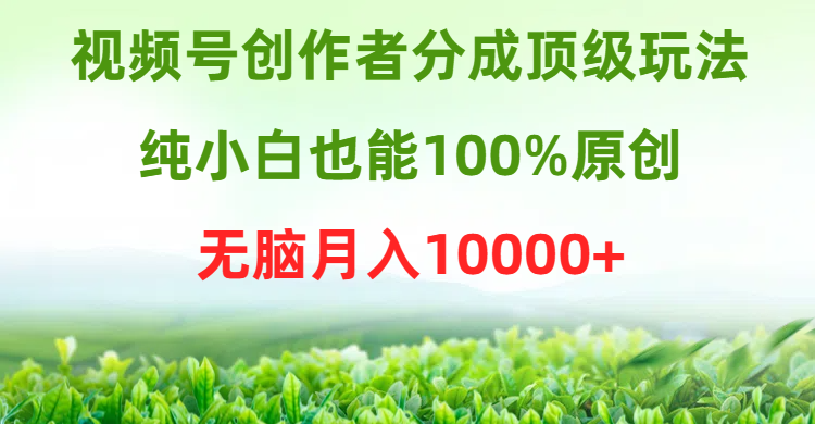 视频号创作者分成顶级玩法，纯小白也能100%原创，无脑月入10000+-紫爵资源库