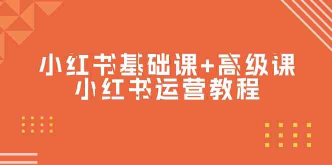 小红书基础课+高级课-小红书运营教程（53节视频课）-紫爵资源库