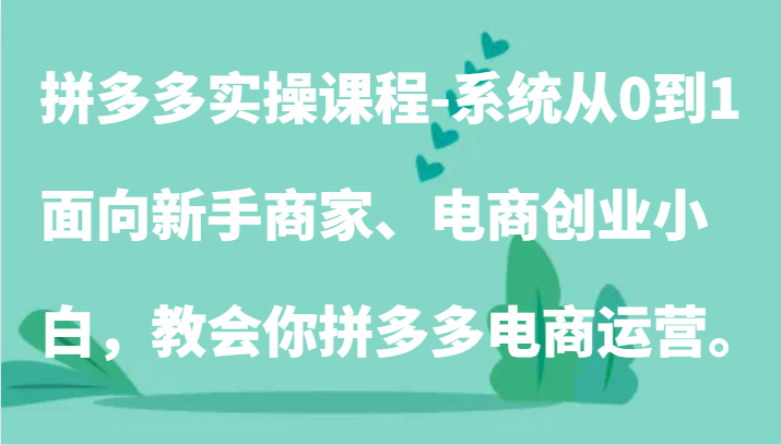 拼多多实操课程-系统从0到1，面向新手商家、电商创业小白，教会你拼多多电商运营。-紫爵资源库