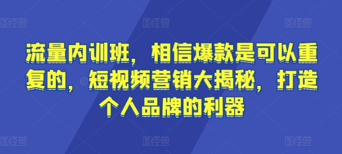 流量内训班，相信爆款是可以重复的，短视频营销大揭秘，打造个人品牌的利器-紫爵资源库